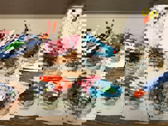 flera fåglar i fågelbon